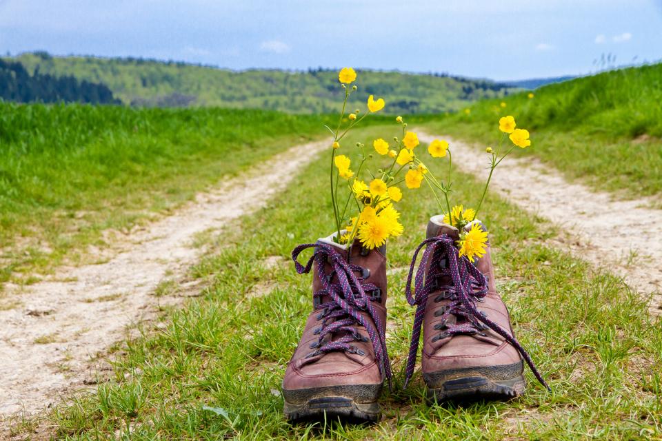 Hiking shoes with dandelions on a grass path